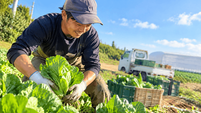 野菜栽培スタッフの求人例