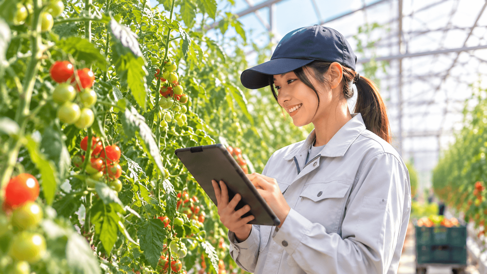 スマート農業・栽培管理の求人例